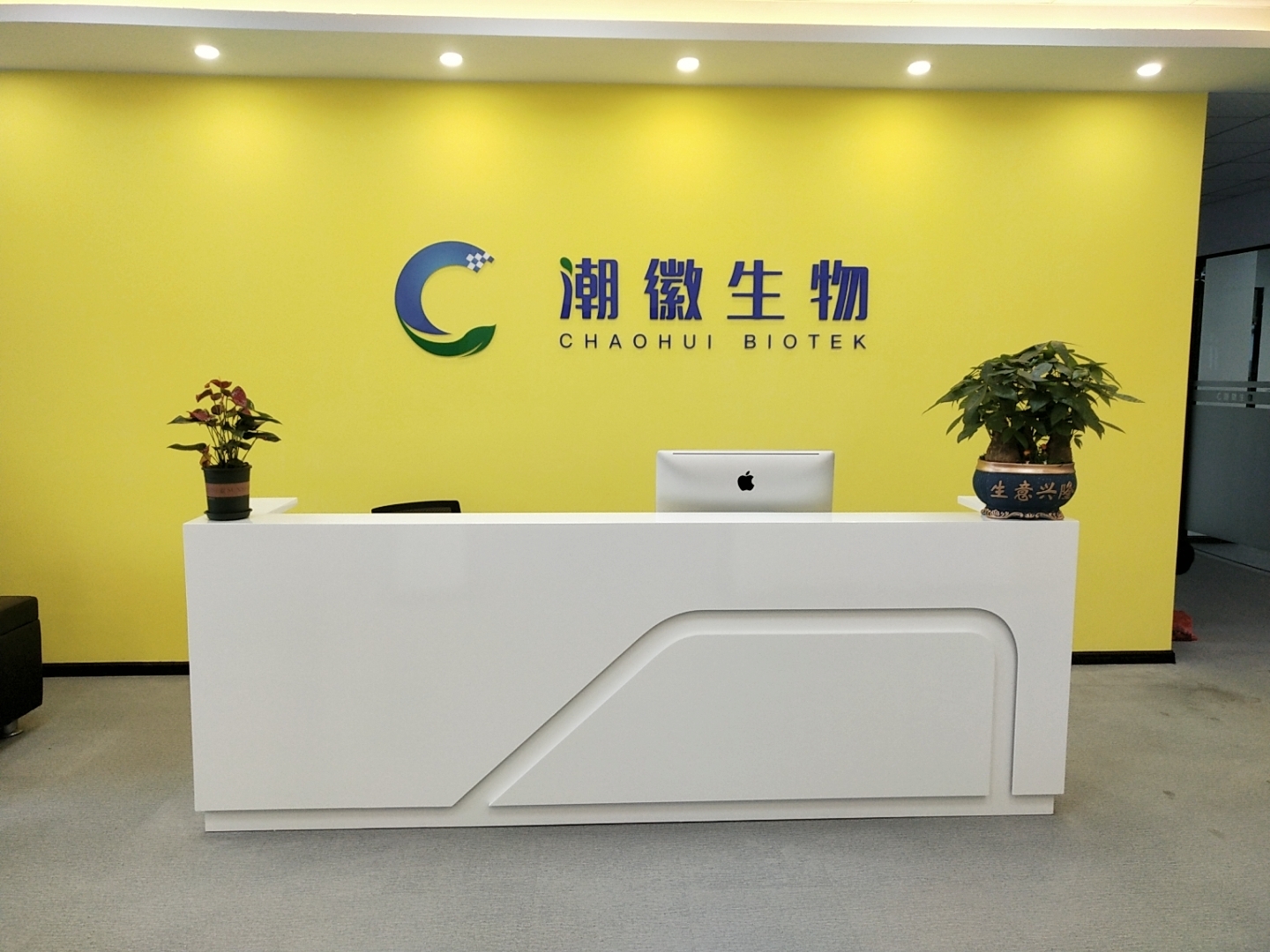 东升国际净化